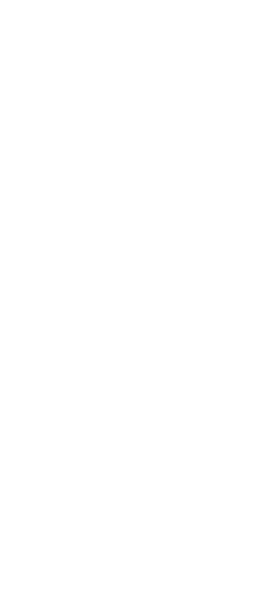 Botelli logo
